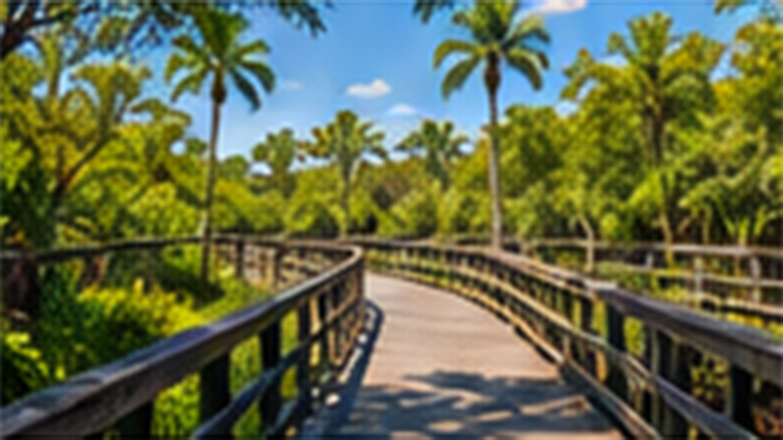 Fort Myers Area Recreation