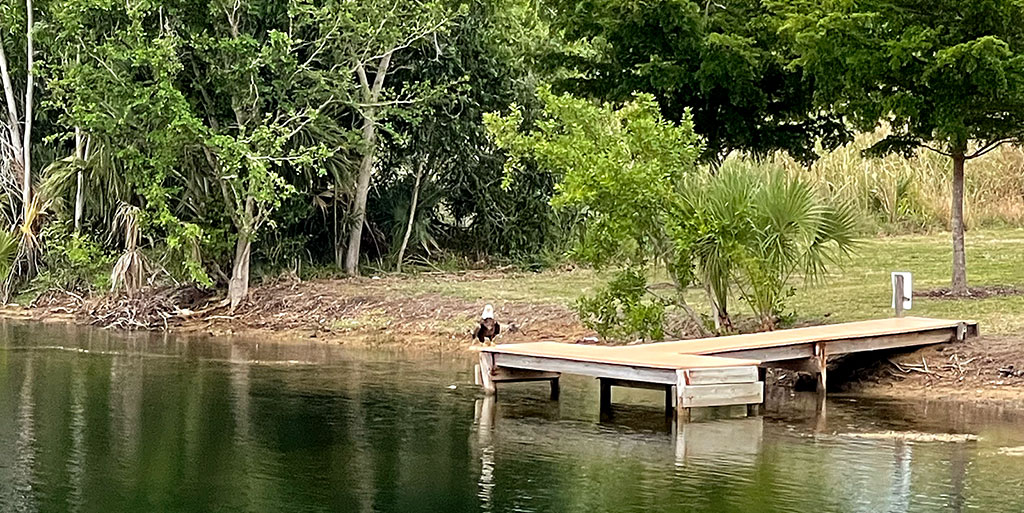Island Park Woodlands T-dock on Lake Grasmere